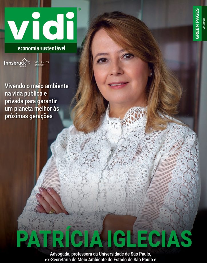 The Winners: VIDI Green Pages nº02