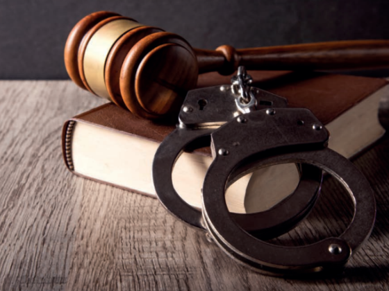 A Advocacia Criminal: Guardiã das Liberdades e das Garantias Fundamentais