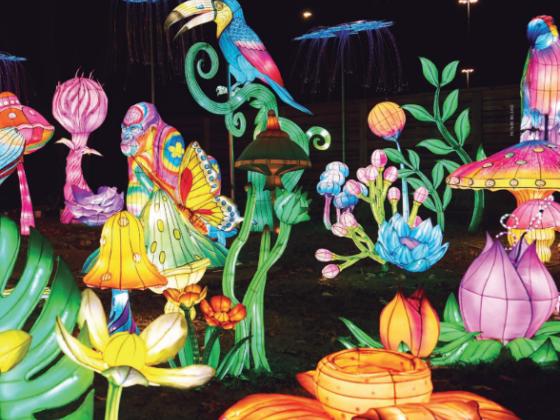 Lektrik Art: festival de esculturas chinesas coloridas chega na América Latina