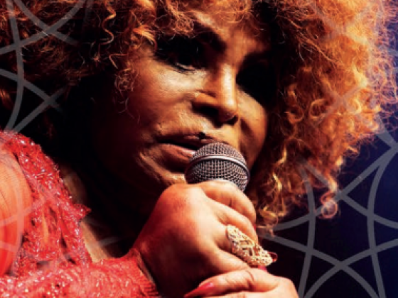Homenagem de Elza Soares