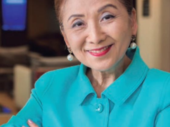 Visões de mercado - Chieko Aoki