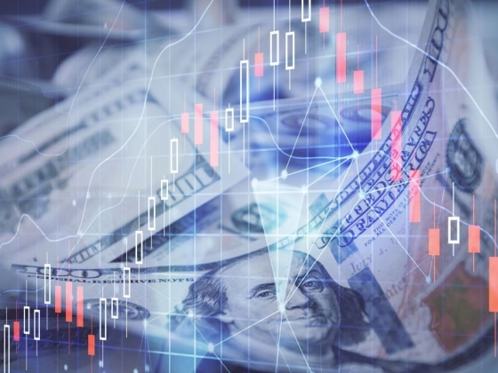 A nova proteção do investidor brasileiro: a diversificação em dólar